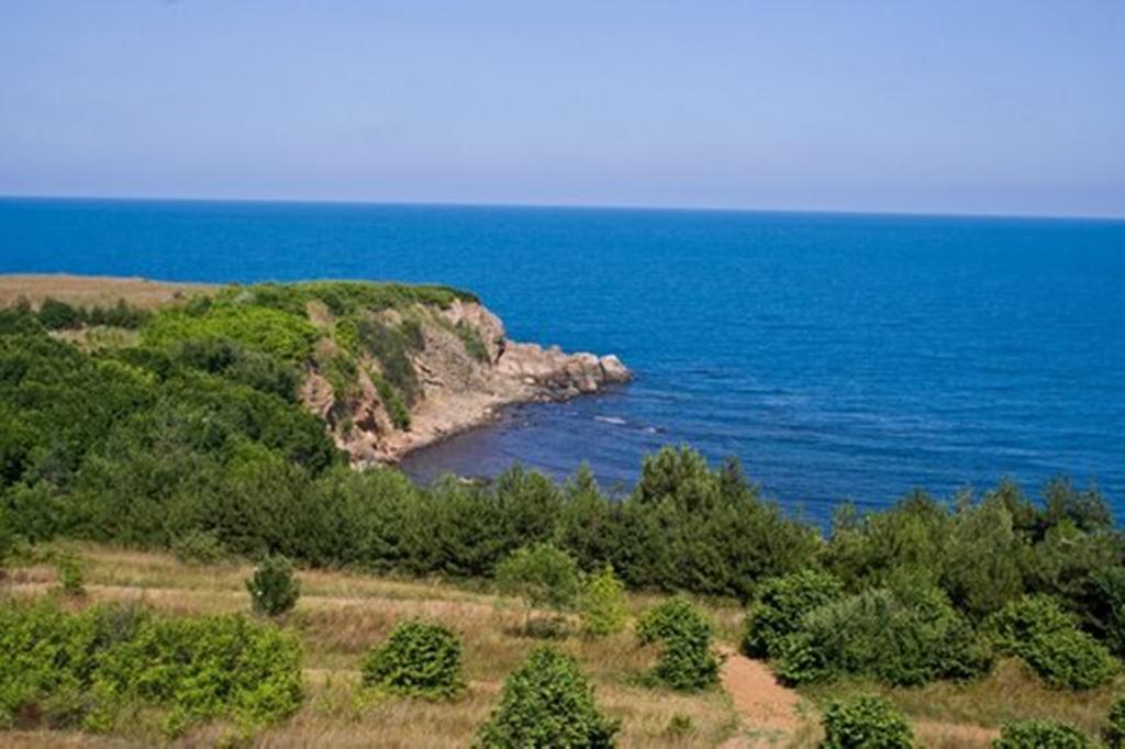 Aparthotel Apolonia Palace Sinemoretz