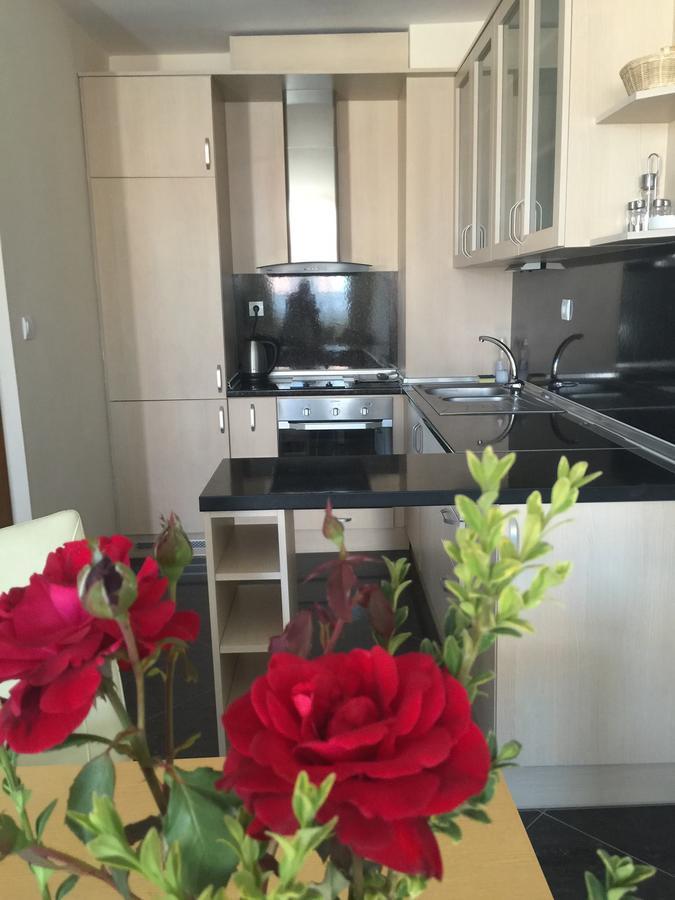 Apolonia Palace 4* Sinemoretz